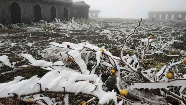 15 tỉnh, thành phố khu vực Bắc Bộ chủ động ứng phó với rét đậm, rét hại- Ảnh 1.