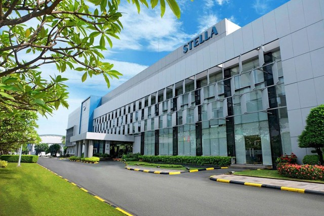 Tauginko 250 STELLA: Giải pháp hỗ trợ tăng tuần hoàn máu não giữa nhịp sống năng động- Ảnh 2.