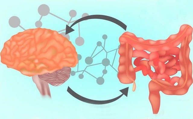 Hạt óc chó, yến mạch: Bộ đôi giúp phát triển trí não, tiêu hóa khỏe mạnh cho trẻ- Ảnh 1.