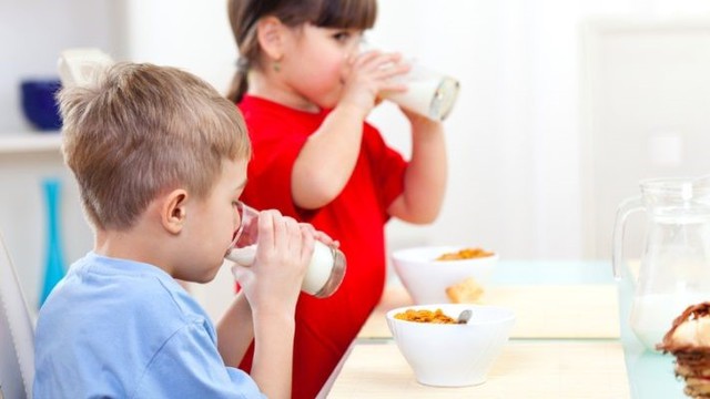 Sữa hạt - xu hướng dinh dưỡng xanh cho gia đình hiện đại- Ảnh 2.