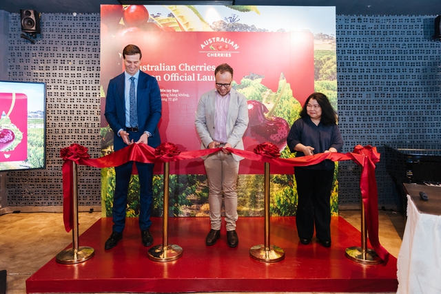Cherry Úc khởi động mùa vụ mới với hành trình đưa Cherry tươi từ Úc đến Việt Nam chỉ trong 72 giờ- Ảnh 1.