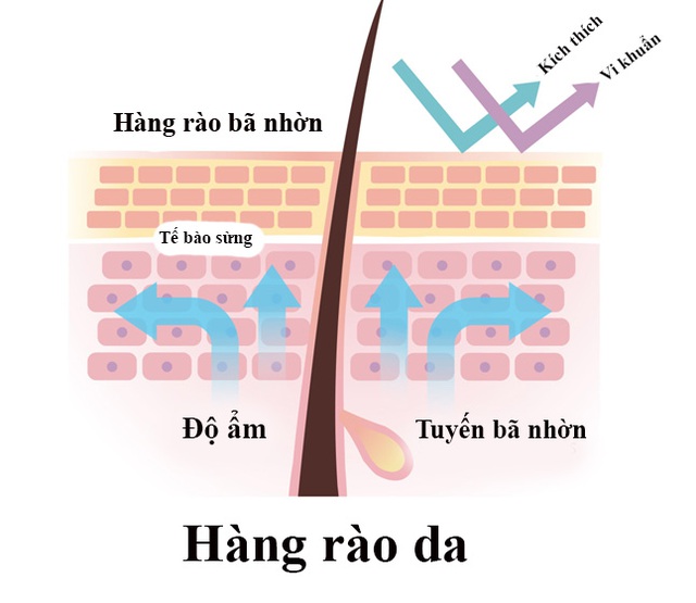 Bệnh viêm da cơ địa tăng nặng khi thời tiết lạnh, khô- Ảnh 1. Bệnh viêm da cơ địa tăng nặng khi thời tiết lạnh, khô- Ảnh 1.