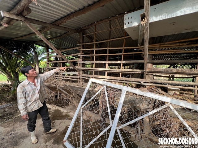 Người dân Khánh Hòa nỗ lực tái thiết cuộc sống sau lũ dữ- Ảnh 5. Người dân Khánh Hòa nỗ lực tái thiết cuộc sống sau lũ dữ- Ảnh 5.