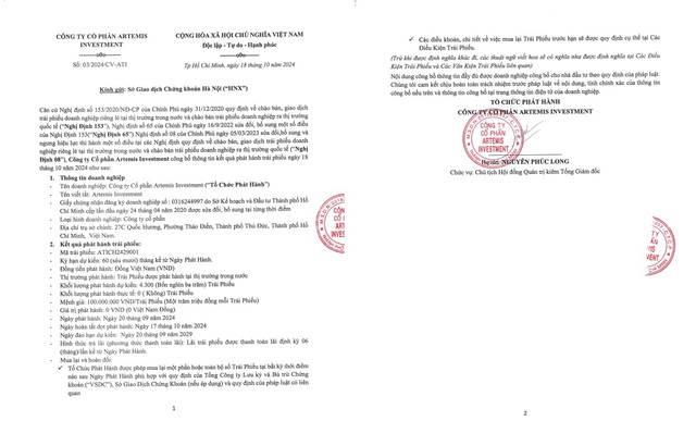 Lô trái phiếu của Công ty Cổ phần Artemis Investment bị báo cáo vi phạm- Ảnh 2.