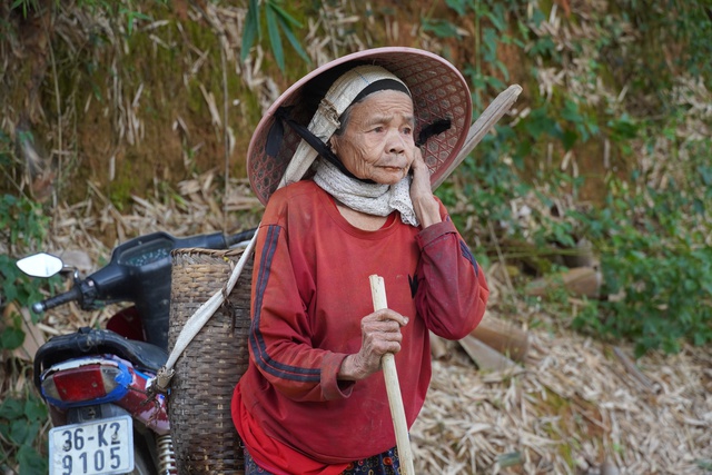 Cả bản chặt luồng, dựng cầu vượt sông lên rẫy- Ảnh 3.