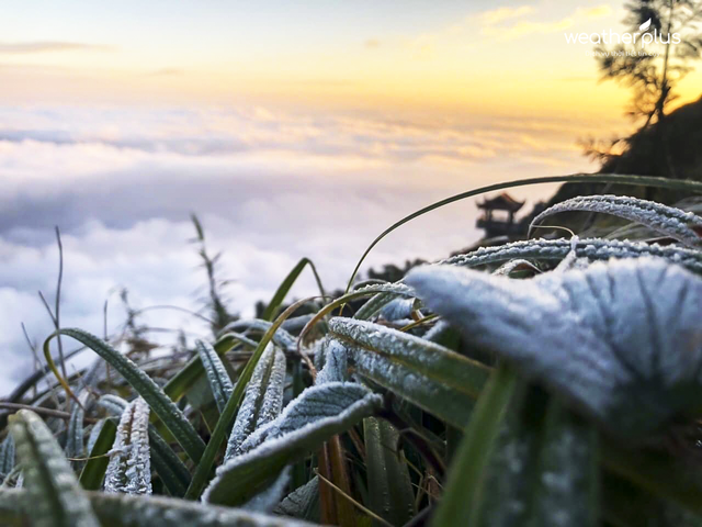 Cuối tháng 12 có khả năng xuất hiện băng giá, mưa tuyết vùng núi- Ảnh 1. Cuối tháng 12 có khả năng xuất hiện băng giá, mưa tuyết vùng núi- Ảnh 1.