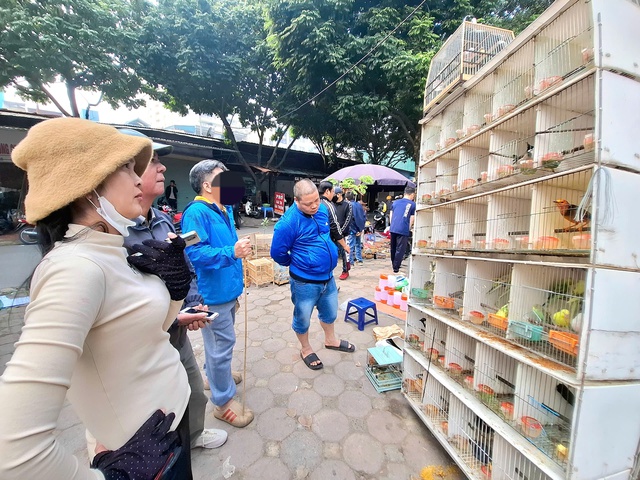 Chợ của người mê chim ở Hà Nội có gì lạ? - Ảnh 3. Chợ của người mê chim ở Hà Nội có gì lạ? - Ảnh 3.