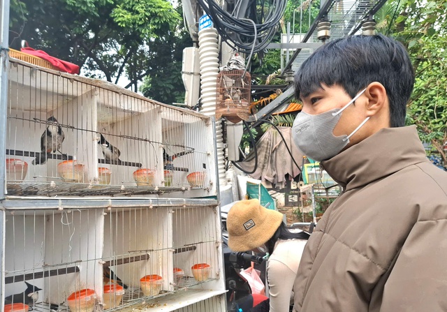Chợ của người mê chim ở Hà Nội có gì lạ? - Ảnh 7. Chợ của người mê chim ở Hà Nội có gì lạ? - Ảnh 7.