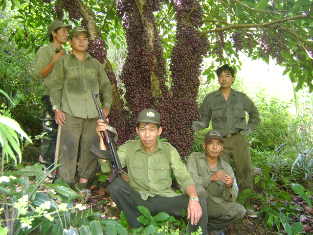 Khám phá động vật quý hiếm trên núi Hòn Bà, Khánh Hòa- Ảnh 1.