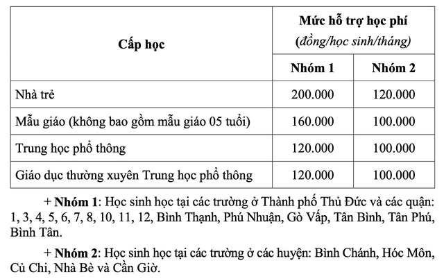 TPHCM: Học sinh mầm non, tiểu học, THPT và hệ GDTX được miễn học phí- Ảnh 2.