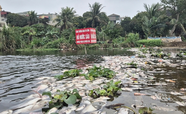 Thanh Hóa: Truy tìm nguyên nhân cá chết la liệt trên suối Cổ Đam- Ảnh 1.