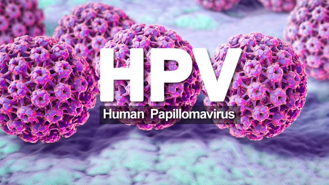 HPV có gây ung thư dương vật không?- Ảnh 1.