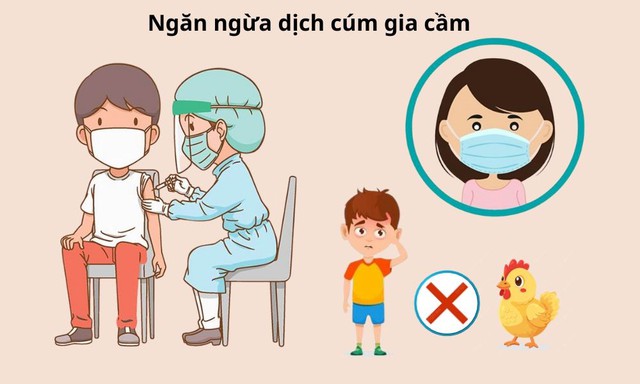 Cúm gia cầm có lây cho người không, cách ngăn ngừa dịch tiến triển- Ảnh 3.