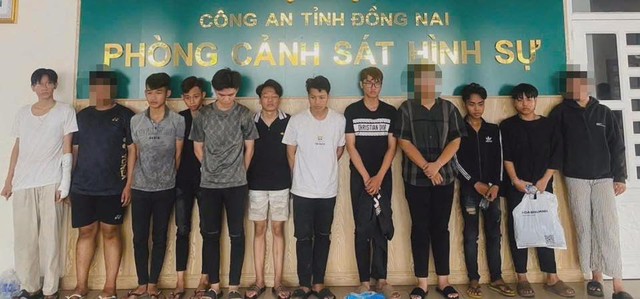 Khởi tố 9 thanh thiếu niên mang hung khí đi 'nói chuyện' với thiếu nữ 16 tuổi- Ảnh 1.