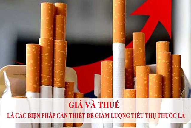Chuyên gia của WHO: Nên tăng thuế thuốc lá sớm nhất có thể để 'cùng thắng'- Ảnh 2. Chuyên gia của WHO: Nên tăng thuế thuốc lá sớm nhất có thể để 'cùng thắng'- Ảnh 2.