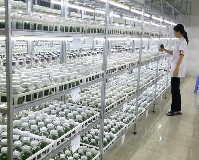 Khoa học công nghệ là bàn đạp để Việt Nam vững bước tiến vào kỷ nguyên mới- Ảnh 3.