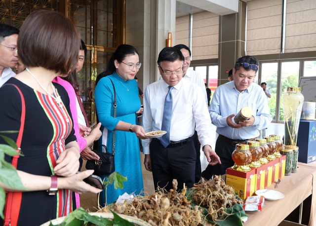 Đề án phát triển trung tâm dược liệu tại Quảng Nam với sâm Ngọc Linh là cây chủ lực mới là điểm khởi đầu- Ảnh 4. Đề án phát triển trung tâm dược liệu tại Quảng Nam với sâm Ngọc Linh là cây chủ lực mới là điểm khởi đầu- Ảnh 4.
