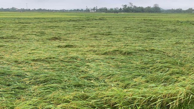Khắc phục hậu quả lốc xoáy ở huyện miền núi Hà Tĩnh - Ảnh 1.