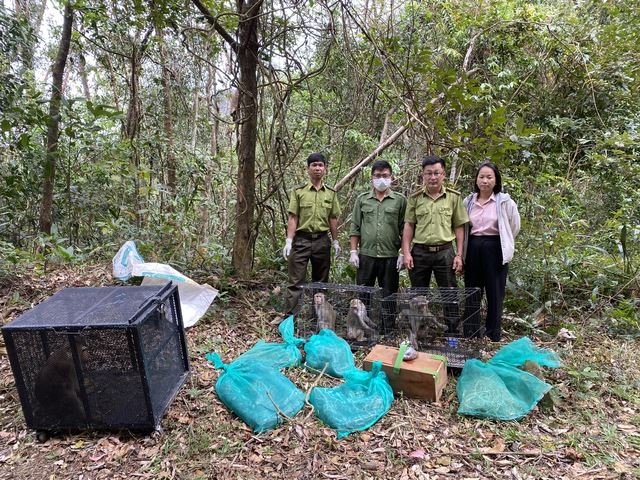Hàng chục loài động vật quý hiếm được thả về rừng- Ảnh 1. Hàng chục loài động vật quý hiếm được thả về rừng- Ảnh 1.