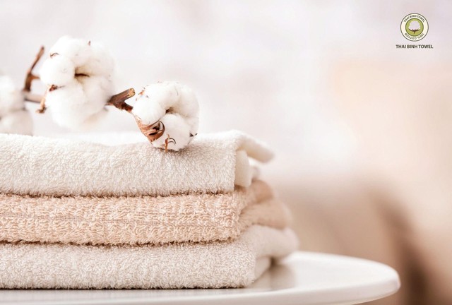 CEO Nguyễn Tự Hưng tiết lộ lý do làm nên thương hiệu Thái Bình Towel- Ảnh 2. CEO Nguyễn Tự Hưng tiết lộ lý do làm nên thương hiệu Thái Bình Towel- Ảnh 2.