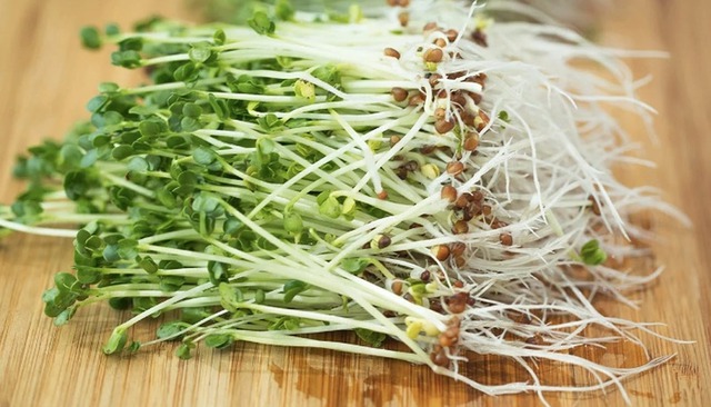 Bí quyết phòng ung thư từ gian bếp nhà bạn- Ảnh 1. Bí quyết phòng ung thư từ gian bếp nhà bạn- Ảnh 1.