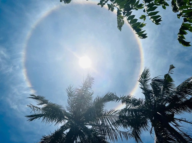 Cơ quan khí tượng lên tiếng giải thích về hiện tượng quầng Mặt trời- Ảnh 2.