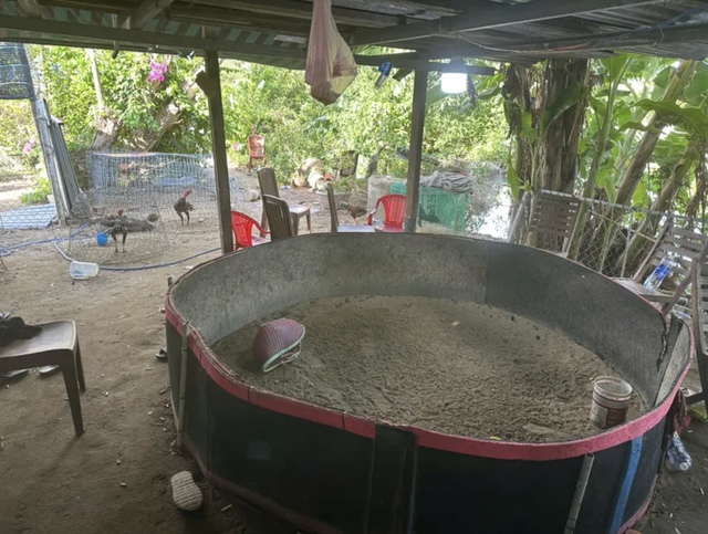 Triệt phá điểm đá gà có hàng trăm 'con bạc' tham gia- Ảnh 1. Triệt phá điểm đá gà có hàng trăm 'con bạc' tham gia- Ảnh 1.