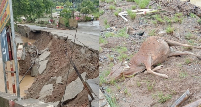 Lũ quét và sạt lở trong đêm ở Bắc Kạn làm 4 người tử vong- Ảnh 2. Lũ quét và sạt lở trong đêm ở Bắc Kạn làm 4 người tử vong- Ảnh 2.