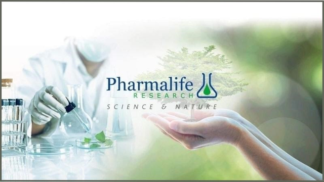 Fitobimbi – Thương hiệu quốc tế, đồng hành chăm sóc sức khỏe trẻ em Việt Nam!- Ảnh 1.