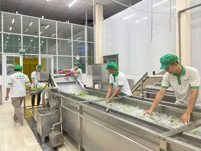Thaphaco – Đưa dược liệu sạch Việt Nam trở thành lựa chọn an toàn cho sức khỏe người Việt- Ảnh 1. Thaphaco – Đưa dược liệu sạch Việt Nam trở thành lựa chọn an toàn cho sức khỏe người Việt- Ảnh 1.