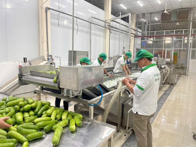 Thaphaco – Đưa dược liệu sạch Việt Nam trở thành lựa chọn an toàn cho sức khỏe người Việt- Ảnh 2. Thaphaco – Đưa dược liệu sạch Việt Nam trở thành lựa chọn an toàn cho sức khỏe người Việt- Ảnh 2.