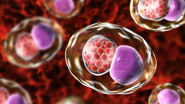 Làm thế nào để biết bạn có bị nhiễm Chlamydia?- Ảnh 3. Làm thế nào để biết bạn có bị nhiễm Chlamydia?- Ảnh 3.