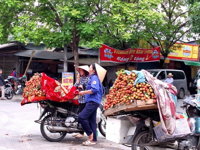 Dân trồng vải háo hức vì vải sớm đầu mùa giá cao vẫn 'cháy hàng'- Ảnh 2.