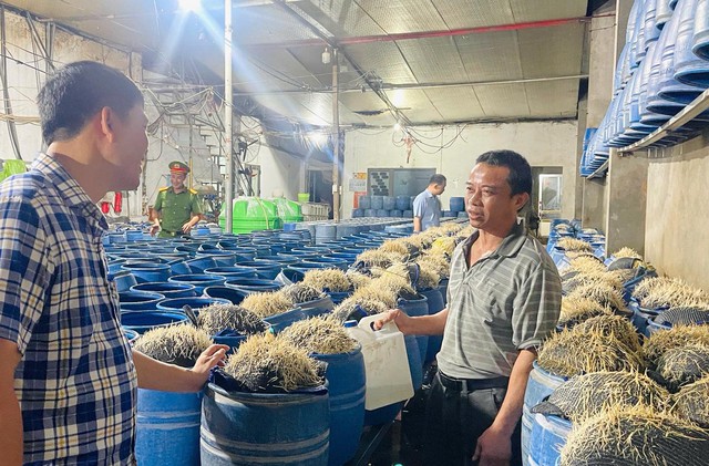 Hóa chất ngâm giá đỗ có thể gây tổn thương gan, thận, thậm chí tử vong- Ảnh 1.