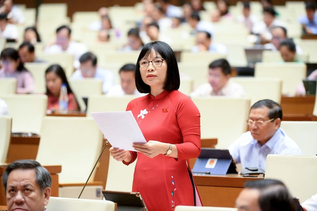 ĐBQH: Bỏ tử hình một số tội danh không phải là khoan dung với tội phạm- Ảnh 2. ĐBQH: Bỏ tử hình một số tội danh không phải là khoan dung với tội phạm- Ảnh 2.