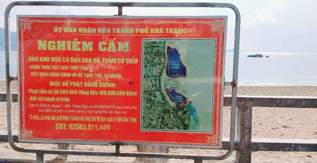 Vào khu vực có san hô ở biển Nha Trang để khai thác thủy sản bị xử phạt thế nào?- Ảnh 3. Vào khu vực có san hô ở biển Nha Trang để khai thác thủy sản bị xử phạt thế nào?- Ảnh 3.