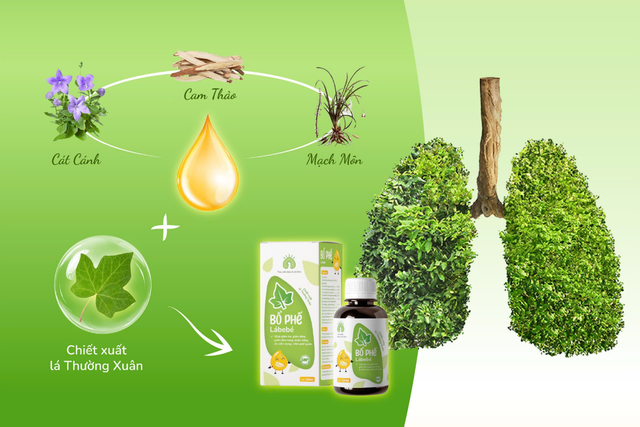 Chiếc cầu nối giữa thiên nhiên thuần khiết và hơi thở khỏe mạnh của gia đình Việt- Ảnh 2. Chiếc cầu nối giữa thiên nhiên thuần khiết và hơi thở khỏe mạnh của gia đình Việt- Ảnh 2.