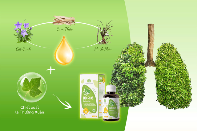 Chiếc cầu nối giữa thiên nhiên thuần khiết và hơi thở khỏe mạnh của gia đình Việt- Ảnh 4. Chiếc cầu nối giữa thiên nhiên thuần khiết và hơi thở khỏe mạnh của gia đình Việt- Ảnh 4.