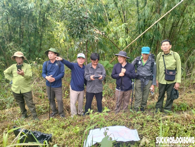 Ninh Thuận chủ động phương án ứng phó trước nguy cơ cháy rừng cao - Ảnh 1. Ninh Thuận chủ động phương án ứng phó trước nguy cơ cháy rừng cao - Ảnh 1.
