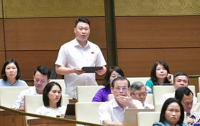 Cần bổ sung quy định bãi nhiệm, cho thôi việc khi cán bộ bị phạt tù hưởng án treo- Ảnh 2. Cần bổ sung quy định bãi nhiệm, cho thôi việc khi cán bộ bị phạt tù hưởng án treo- Ảnh 2.