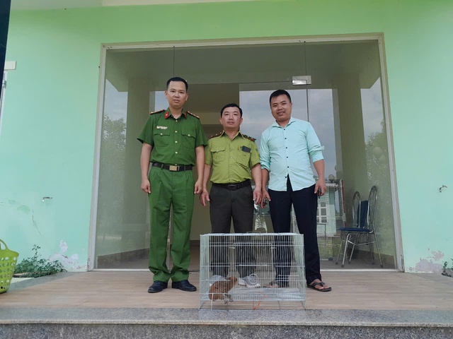 Người dân ở Huế liên tục giao nộp động vật quý hiếm- Ảnh 1. Người dân ở Huế liên tục giao nộp động vật quý hiếm- Ảnh 1.