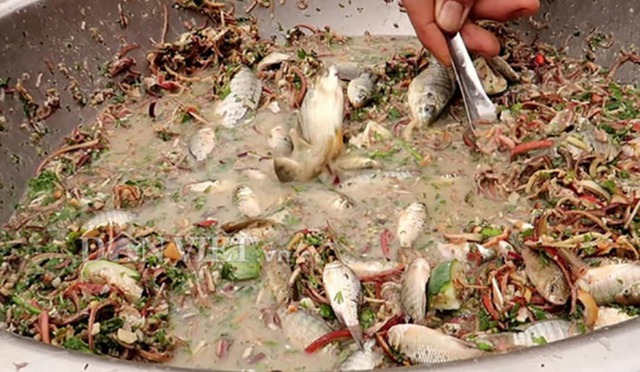 Bệnh giun rồng tái xuất do ăn gỏi cá, ếch, rắn chưa nấu chín nguy hiểm như thế nào?- Ảnh 2. Bệnh giun rồng tái xuất do ăn gỏi cá, ếch, rắn chưa nấu chín nguy hiểm như thế nào?- Ảnh 2.
