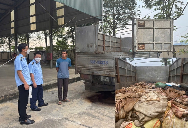 Bắt giữ gần 5 tấn da trâu, bò không rõ nguồn gốc- Ảnh 1.