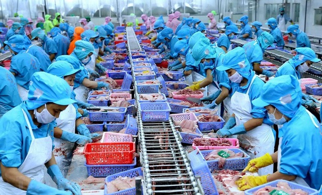 Thủ tướng chỉ đạo loạt biện pháp tăng cường xuất khẩu hàng nông lâm thủy sản- Ảnh 1. Thủ tướng chỉ đạo loạt biện pháp tăng cường xuất khẩu hàng nông lâm thủy sản- Ảnh 1.