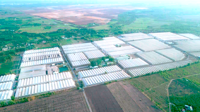 Giá đỗ: Thực phẩm quen thuộc dưới góc nhìn công nghệ cao- Ảnh 1. Giá đỗ: Thực phẩm quen thuộc dưới góc nhìn công nghệ cao- Ảnh 1.
