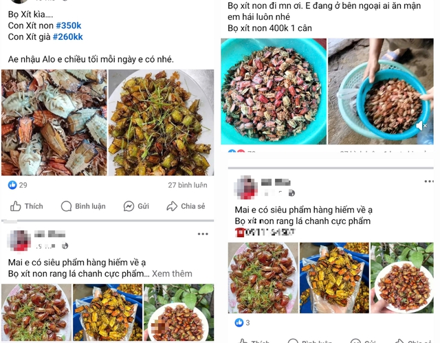 Đặc sản khiến nhiều người 'rùng mình', giá gần nửa triệu đồng/kg vẫn đắt hàng- Ảnh 2. Đặc sản khiến nhiều người 'rùng mình', giá gần nửa triệu đồng/kg vẫn đắt hàng- Ảnh 2.