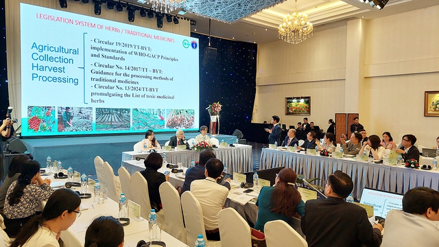 Thứ trưởng Đỗ Xuân Tuyên khai mạc Hội nghị Ban Thường trực Diễn đàn FHH- Ảnh 4. Thứ trưởng Đỗ Xuân Tuyên khai mạc Hội nghị Ban Thường trực Diễn đàn FHH- Ảnh 4.