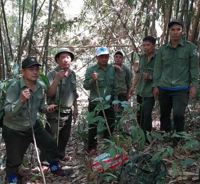 Hàng loạt động vật quý hiếm đang sống khỏe ở Tây Nguyên- Ảnh 1. Hàng loạt động vật quý hiếm đang sống khỏe ở Tây Nguyên- Ảnh 1.