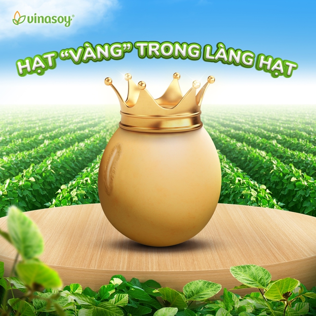 Giải mã đậu nành: Hạt 'Vàng' trong làng hạt- Ảnh 1. Giải mã đậu nành: Hạt 'Vàng' trong làng hạt- Ảnh 1.
