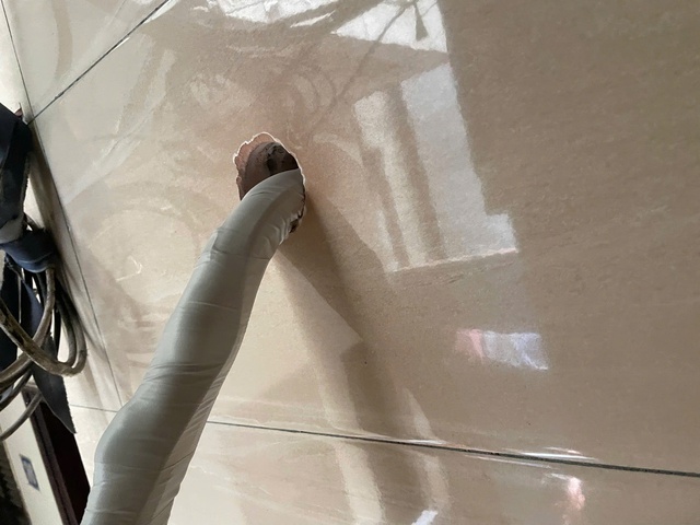 Từ vụ bé gái bị rắn cạp nia chui từ điều hòa ra cắn: Cách xử lý khi bị rắn cắn- Ảnh 2.